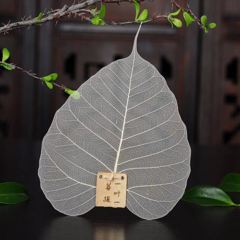 TEA TIME ESSENTIALS TEA Natural Leaf Natural Bodhi Leaf Tea Filter